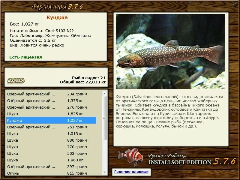 желтощек реальная рыбалка