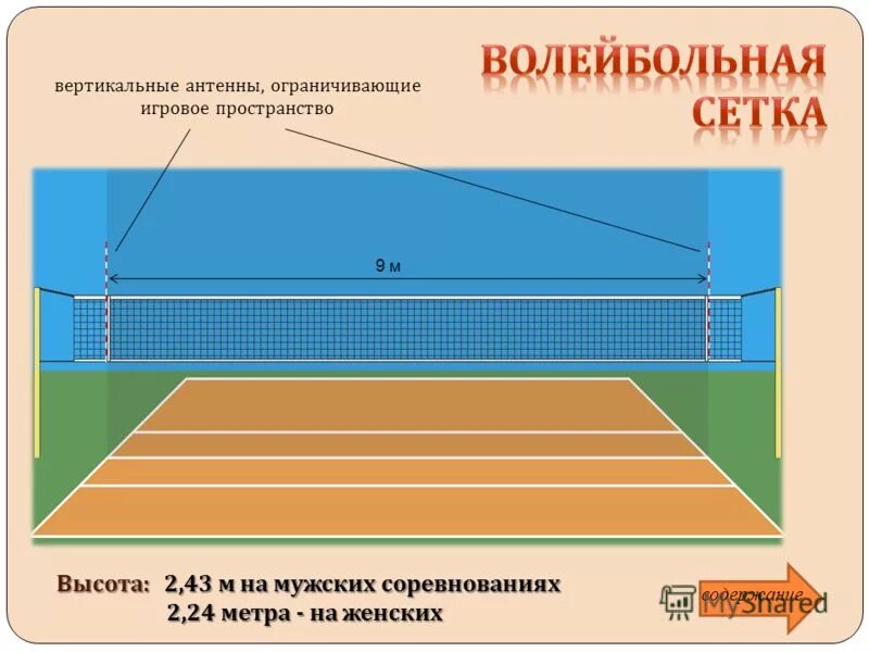 Ширина волейбольной сетки стандарт. Стандарт сетки в волейболе. Высота сетки волейбольной площадки. Размер сетки для волейбола. Волейбол высота сетки для мужчин и женщин