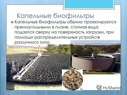 Роль биофильтров выполняют