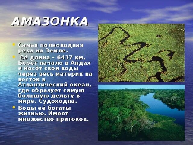 Самая длинная река в материке Южная Америка. Самая полноводная река Амазонка. Проект река Амазонка. Амазонки на реке Амазонка.