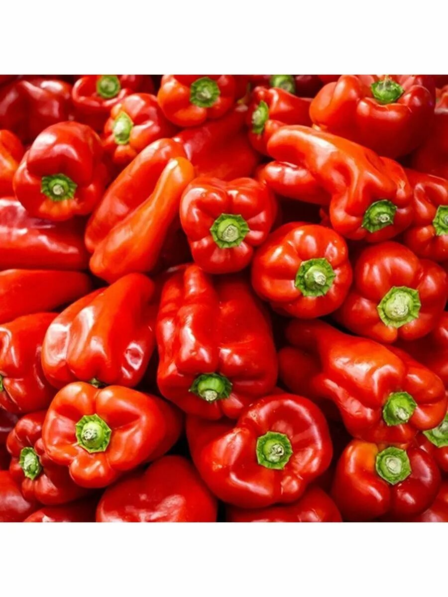 Перец сладкий морозко. Перец морозко уральский. Перец сладкий морозко. Перец сладкий морозко. Красные овощи.