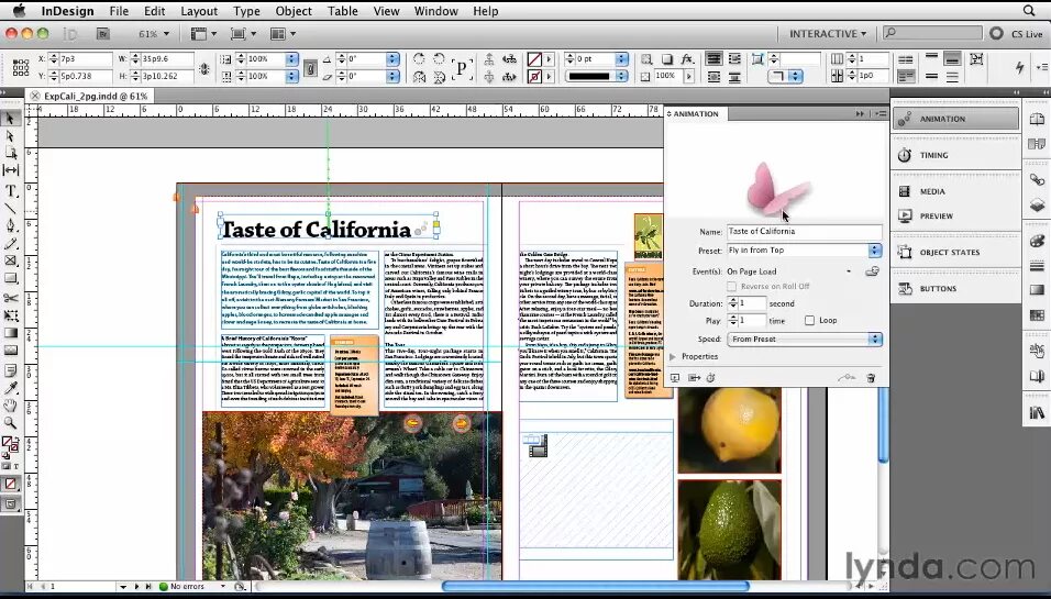 5. Установщик индизайн. Adobe indesign cs5. Indesign от adobe. Адоб индизайн.