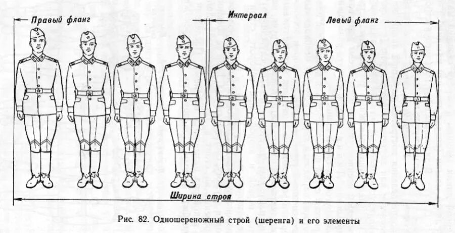 Строй - шеренга - фланг - фронт - интервал -. Одношереножный Строй и его элементы. Строй шеренга фланг фронт. Строй шеренга фланг фронт колонна интервал.