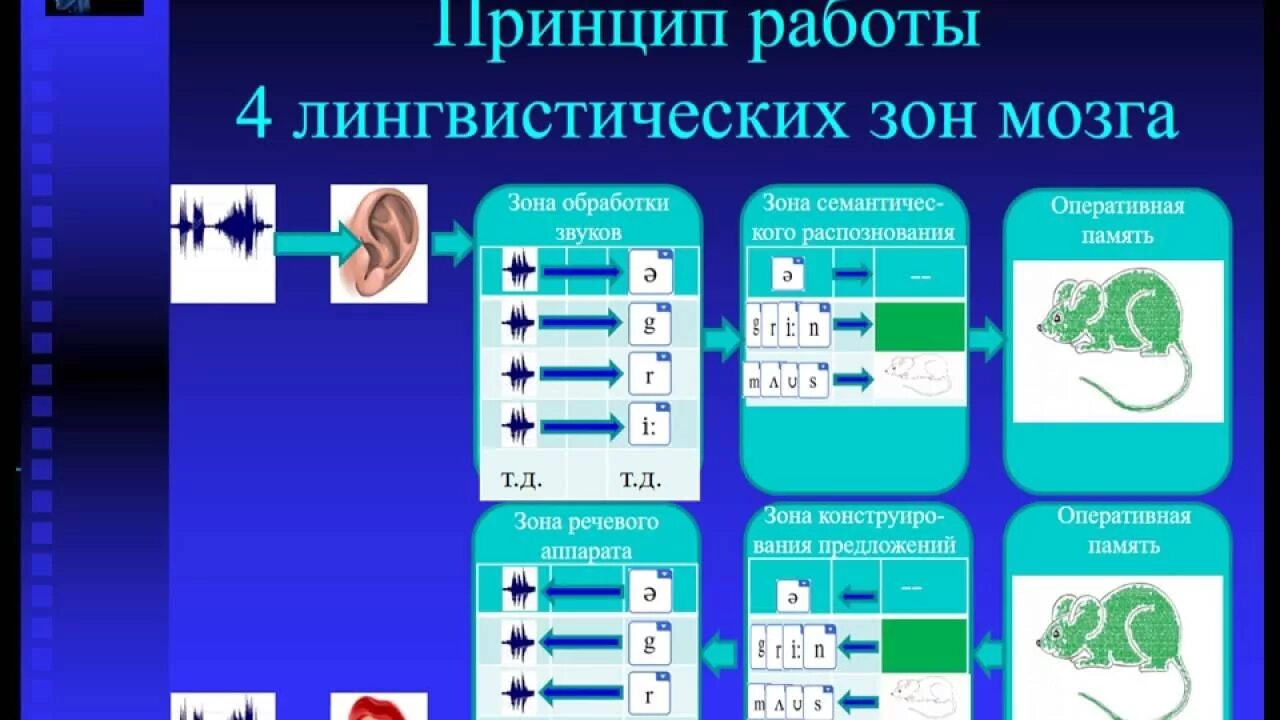 Нейро слова. Нейро упражнения для развития. Нейро методика изучения английского. Нейро развитие мозга. Нейро таблицы для детей.