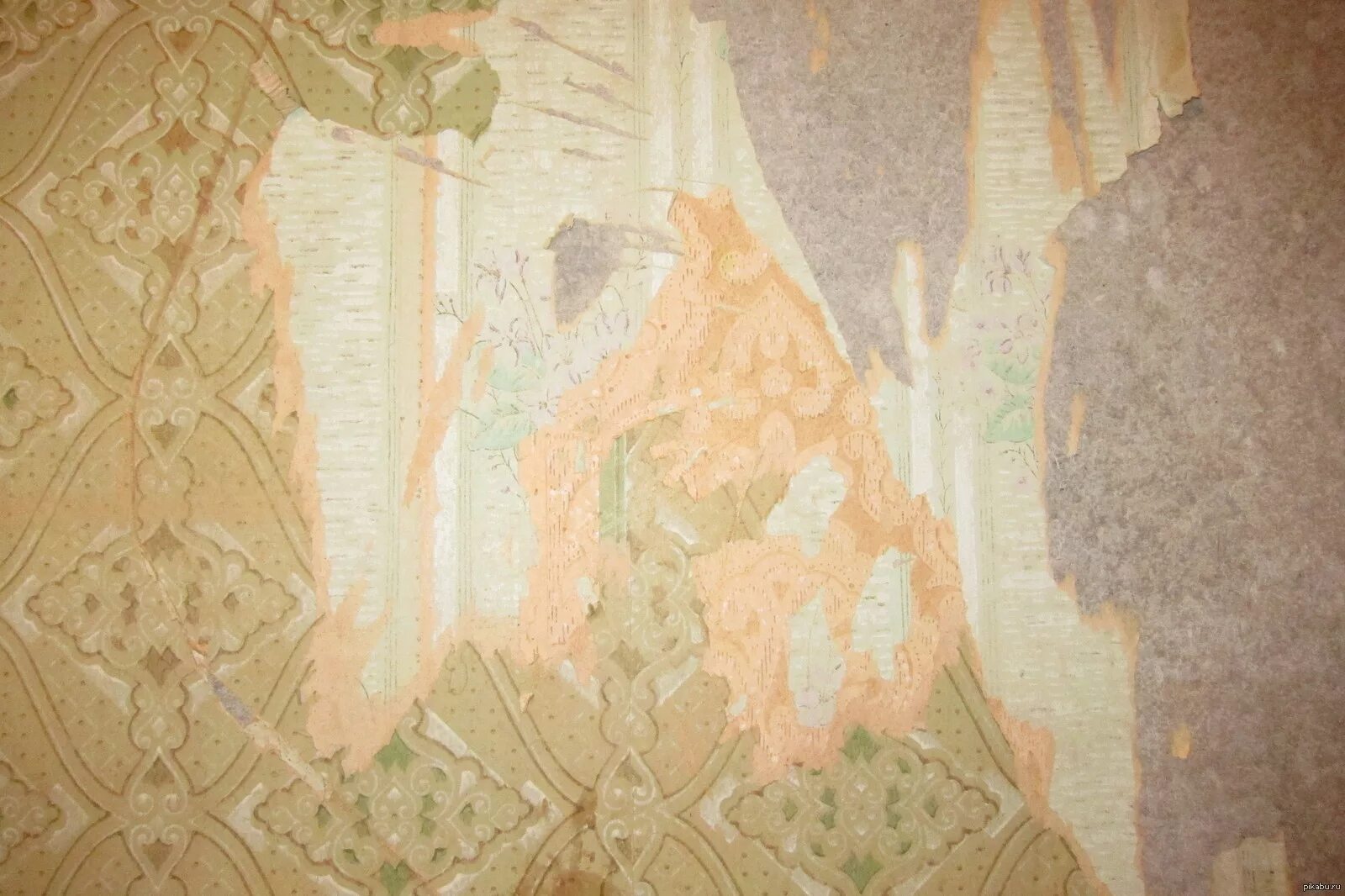 Старые обои во сне. Старые обои во сне. Необычные сны. Старые обои во сне. Девушка с обоями ремонт.