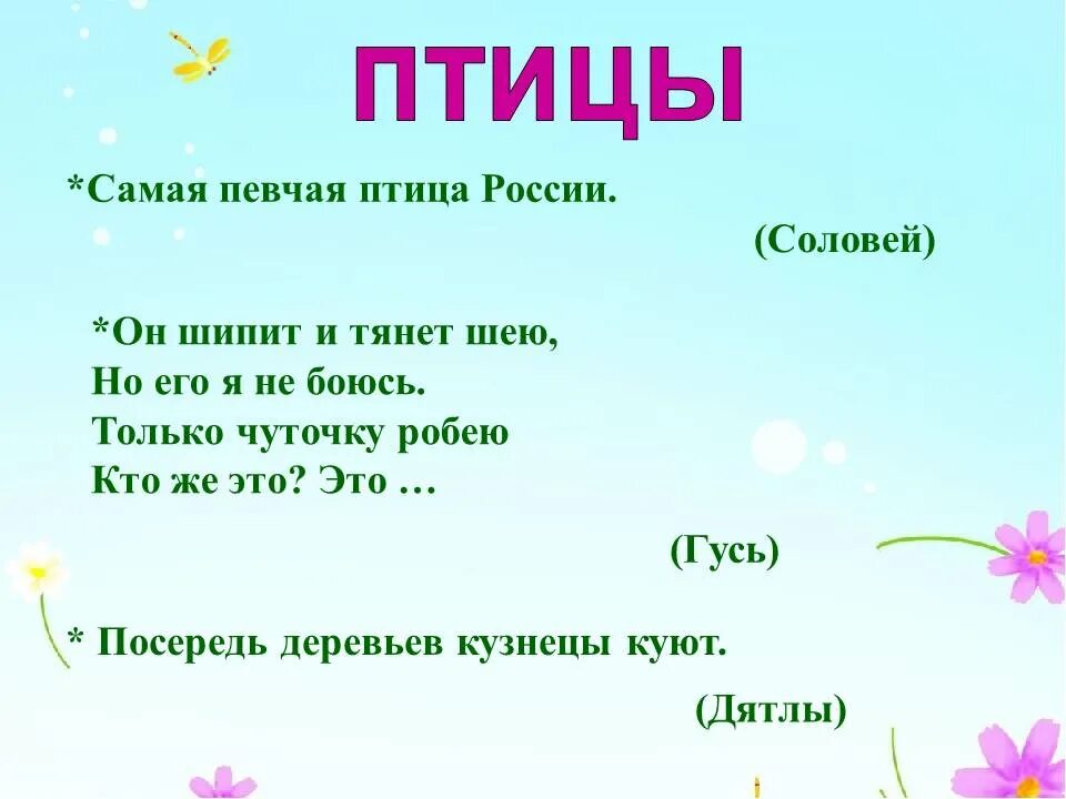 Загадка со словом природа. Загадки природы. Загадки о живой природе. Загадки протдивую природу. Загадки о природе для детей.