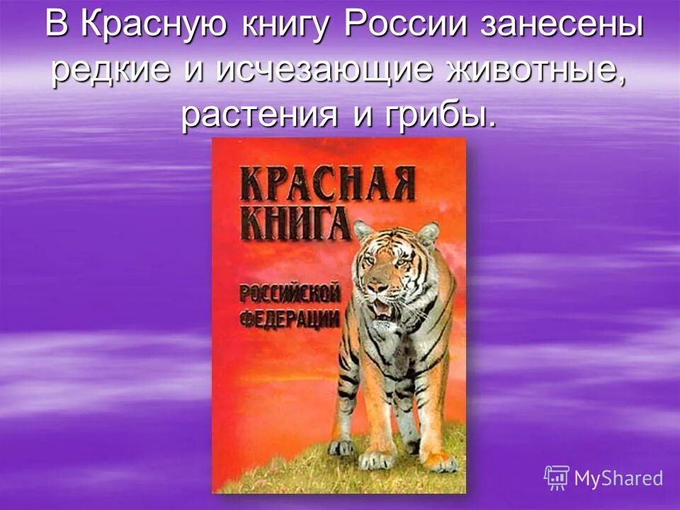 Красная книга росси животных самим. Крассная книга росси животных. Животные красной книги википедия. Животные красной книги википедия. Животные красной книги википедия.