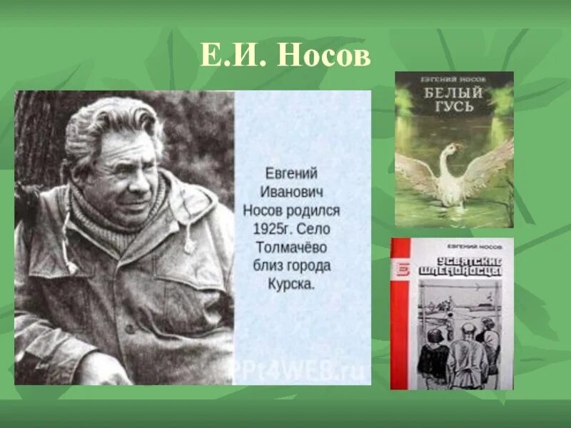 Е и носов произведения 8 класс. Курский писатель Носов.