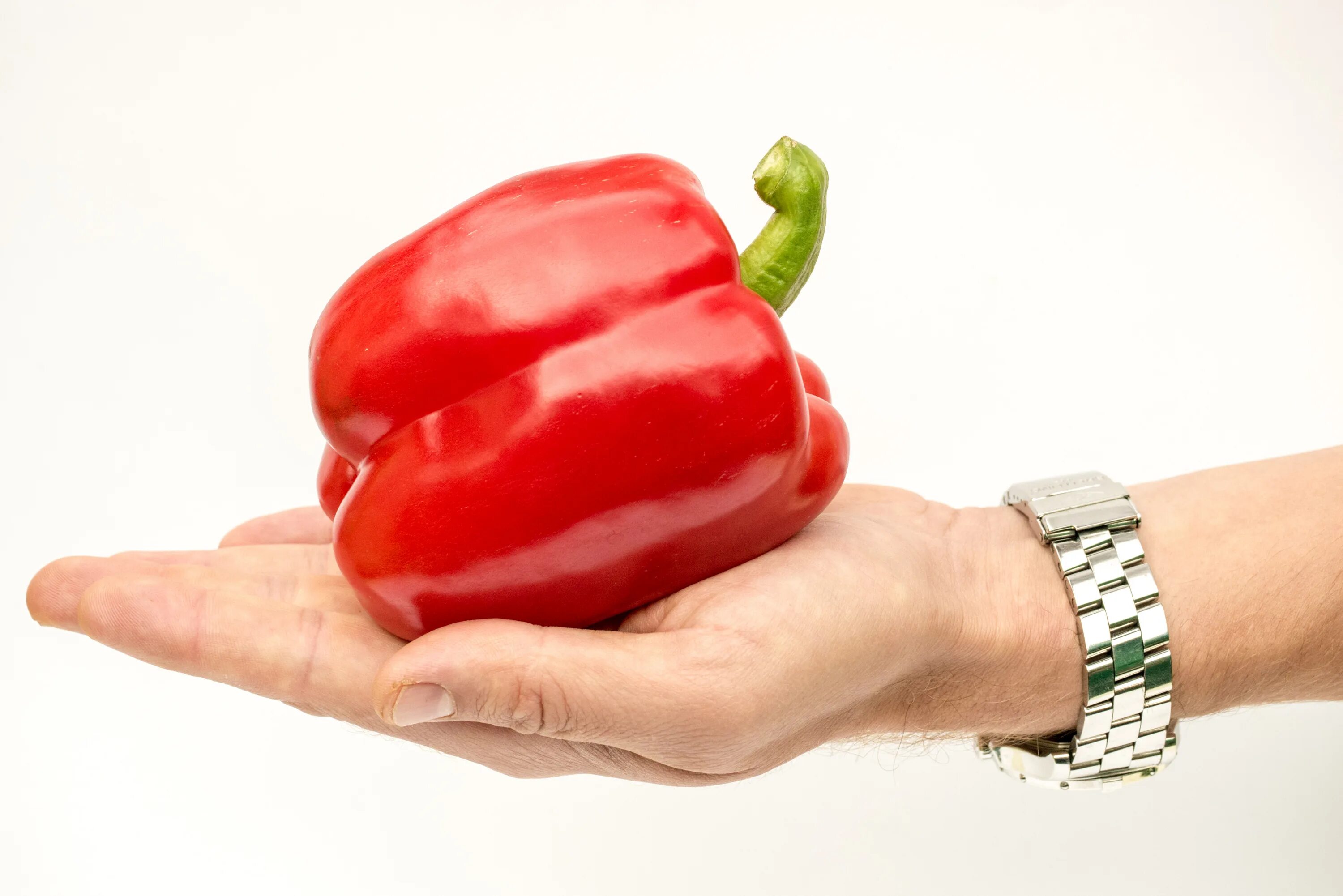 Перец максим семко. Перец ливадия f1. Перец парнет f1 партнер. Перец темп партнер. Партнер перец аллар f1.