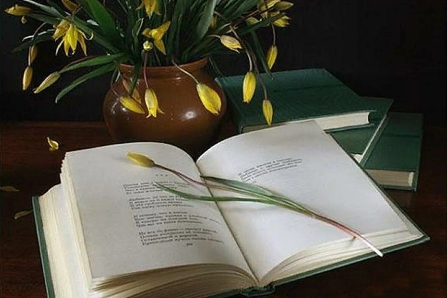 Прекрасные поэзии. Поэзия. поэтическое вдохновение. стихи книга. мир поэзии.