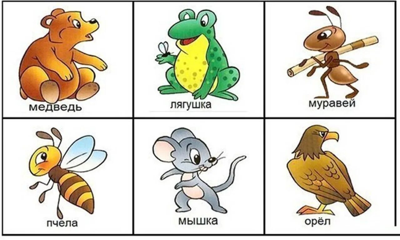 Тема хто