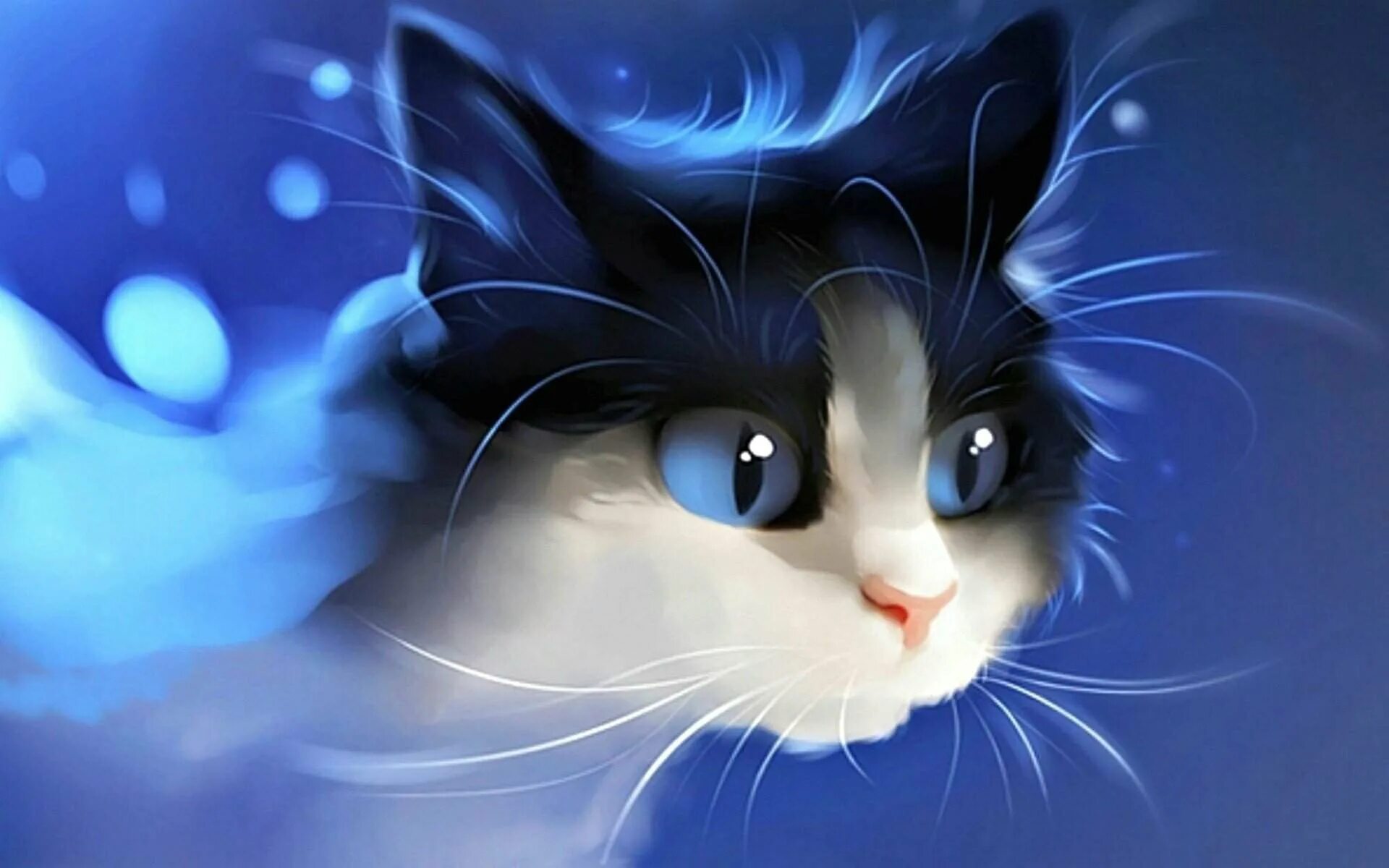 Котики д