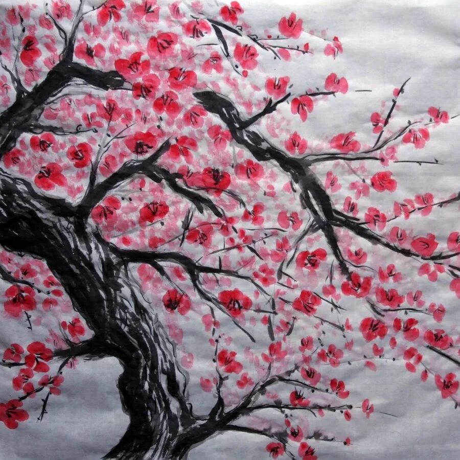 Тулун сакура. Сакура черри блоссом дерево. Ветка Сакуры живопись Япония. Сакура михарутаки. Китайская вишня Сакура.
