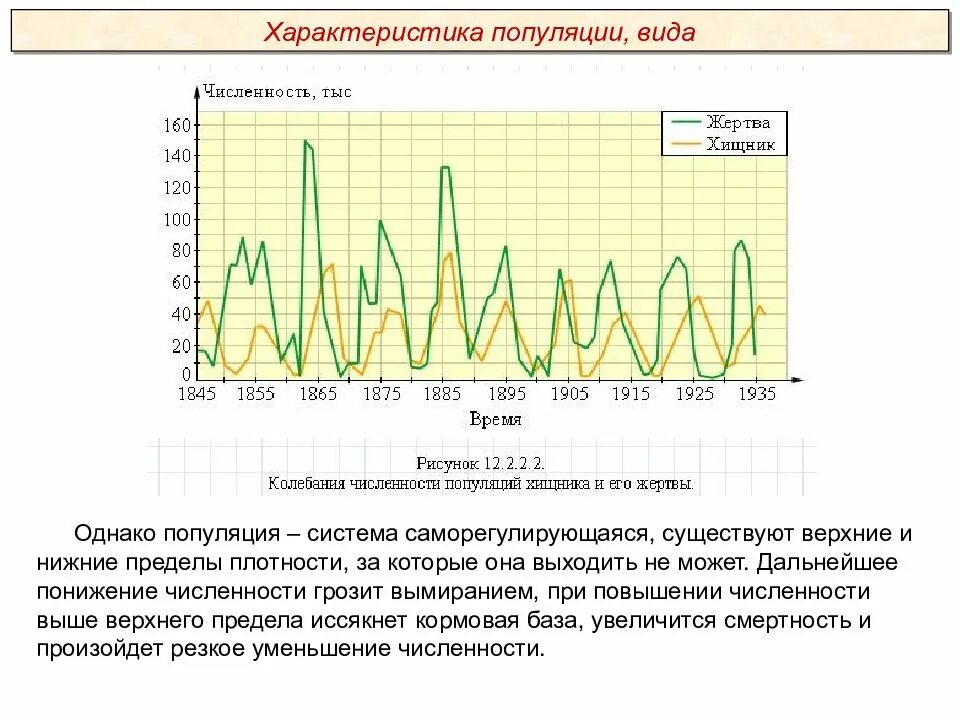 Резкое возрастание численности особей популяции