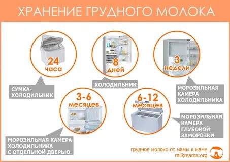 Сколько можно держать грудное молоко в бутылочке