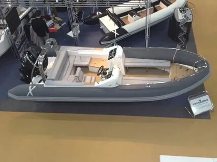 Rib 10