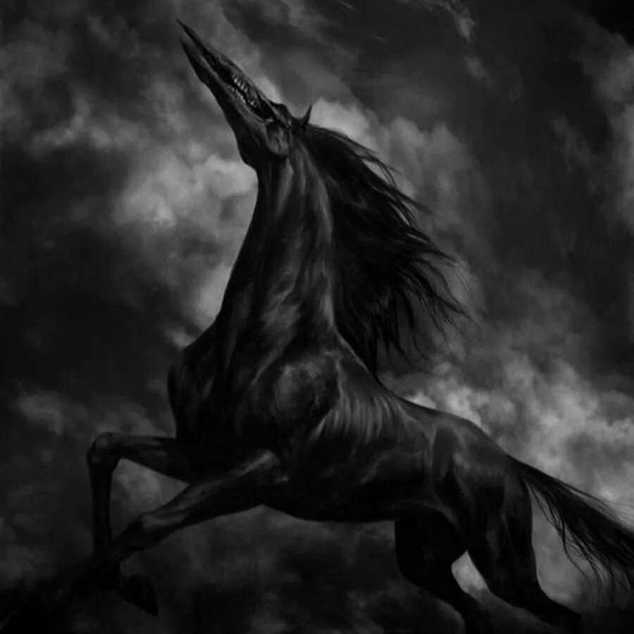 черный ворон лошадь. мрачный конь. вороной мустанг иноходец. черный ворон лошадь. лошадь оборачивается.