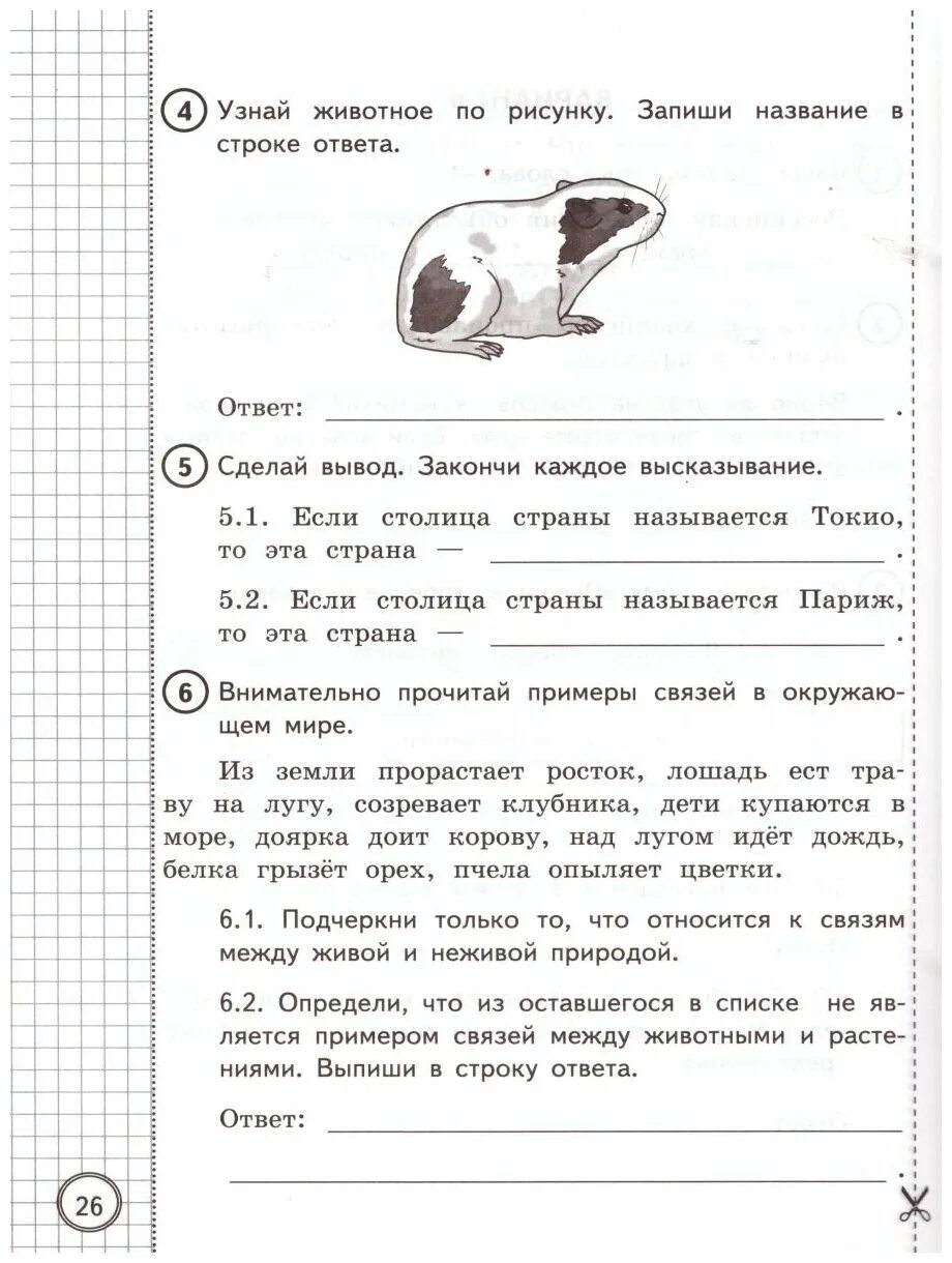 Впр по окружающему миру второй вариант. ВПР окружающий мир. Волкова ВПР окружающий мир. ВПР по окружающему 4 класс. ВПР окружающий мир 4 класс Волкова.