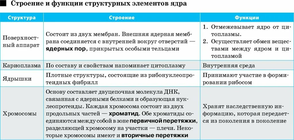 Таблица ядро строение и функции 9. Таблица компоненты ядра строение функции. таблица структура ядра строение функции. строение и функции ядерных структур таблица. ядро строение и функции таблица.