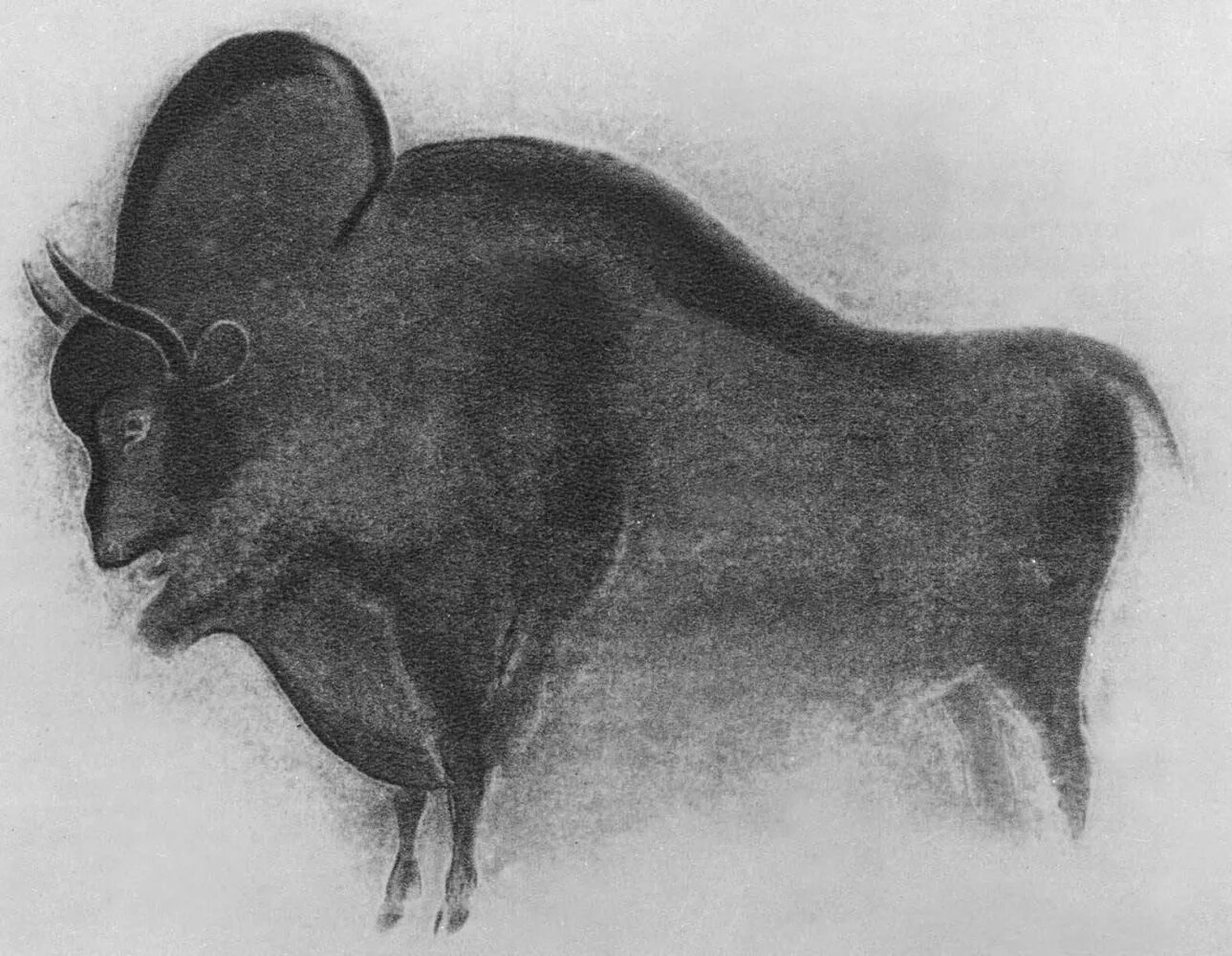 Наскальная живопись овцебык. Рисунок древнего бизона. Бизон пещера альтамира. Бизон из пещеры альтамира. Бизон пещера альтамира.