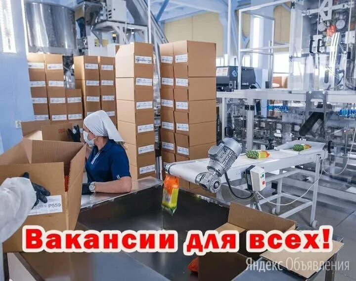 шоколадная фабрика фруже экскурсия. фасовщица в магазин. комплектовщики аутсорсинг на леруа мерлен. упаковщик кондитерских изделий. упаковщица свежие вакансии воронеж.