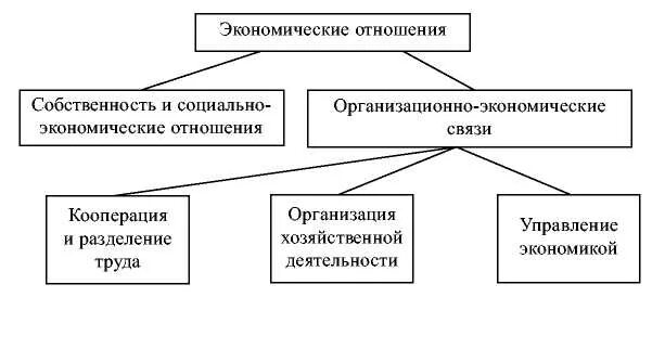 Изменения в социально экономических отношениях. Экономические отношения. Социально экономические отношения. Виды экономических отношений с примерами. Типы экономических связей.