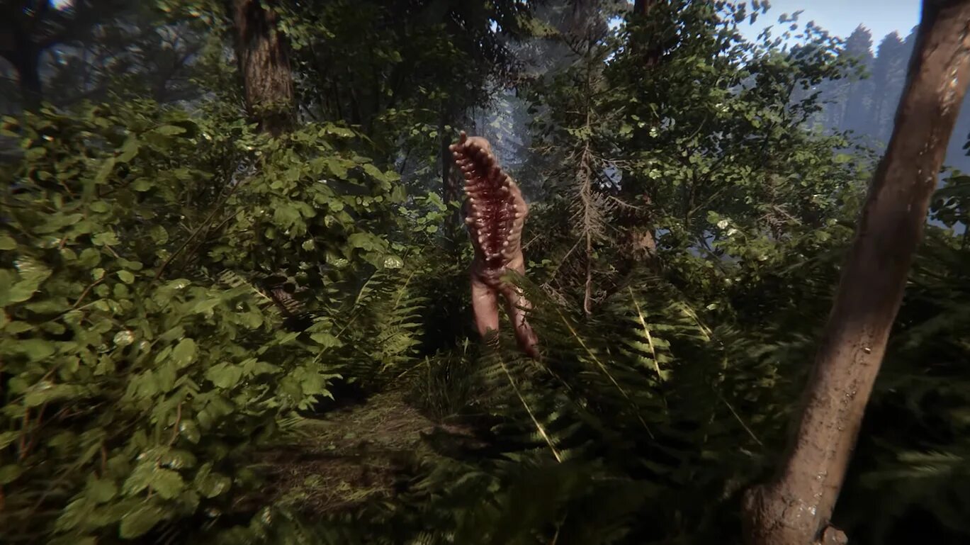 Сын леса 2. Игра sons of the forest. Sons of the forest лес. Вирджиния из sons of the forest. Sons of the forest лес.