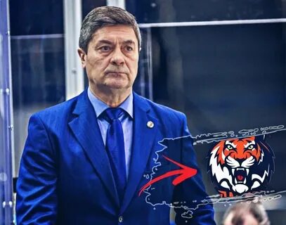 Амур тренерский состав