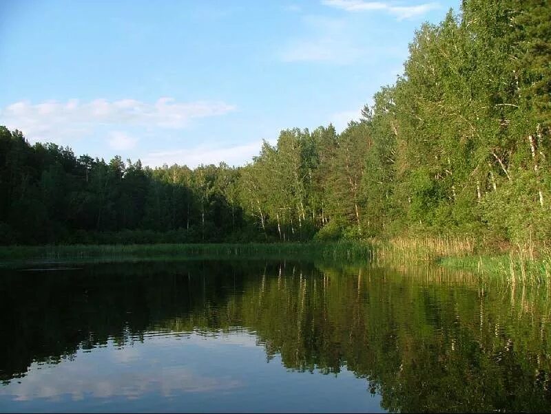 Слип шарап. Шарап озеро Новосибирск. Река Ордынка Новосибирская область. Озеро Мочище новый Шарап. Река Шарап Новосибирская область.