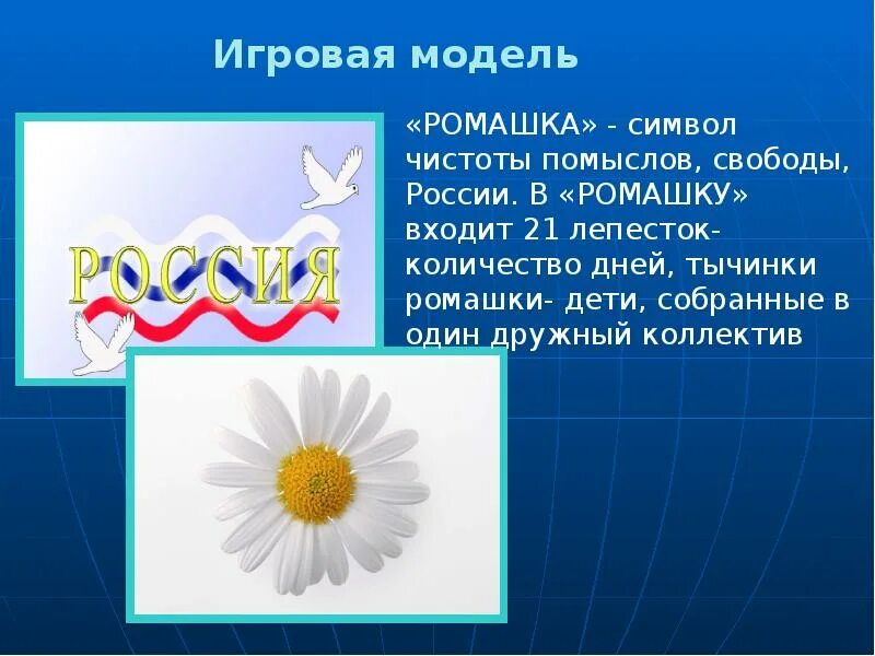 Ромашка неофициальный символ россии. Ромашка символ России. Что символизирует Ромашка. Неофициальные символы России Ромашка.