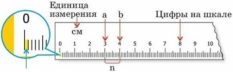 Задача шкала измерений