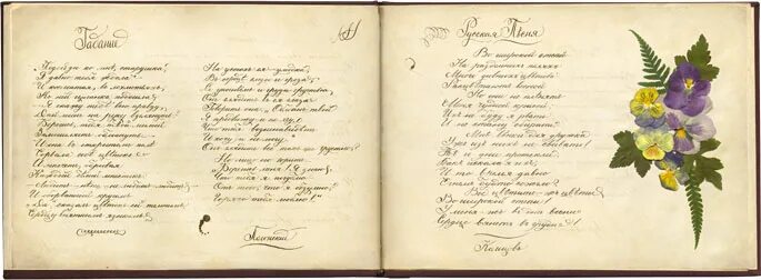 Рукописный дневник. Альбом барышни 19 века. Альбом барышни 19 века. Дневник барышни. Дневник барышни.