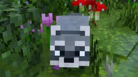 Еноты alex mobs