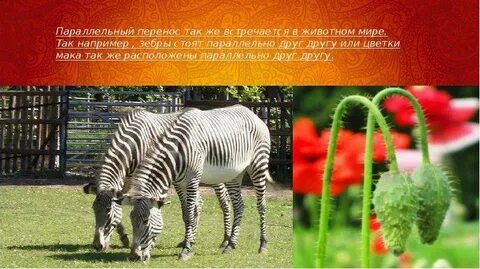 Вместе перенести