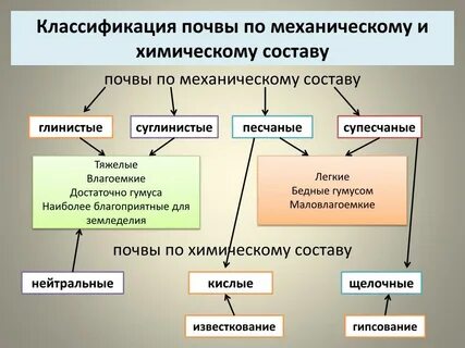 Различие почв бесструктурные заполните схему