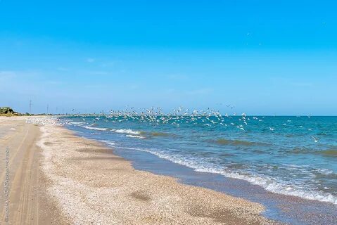 Выходные на азовском море