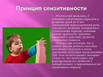 Сенсорный период развития ребенка