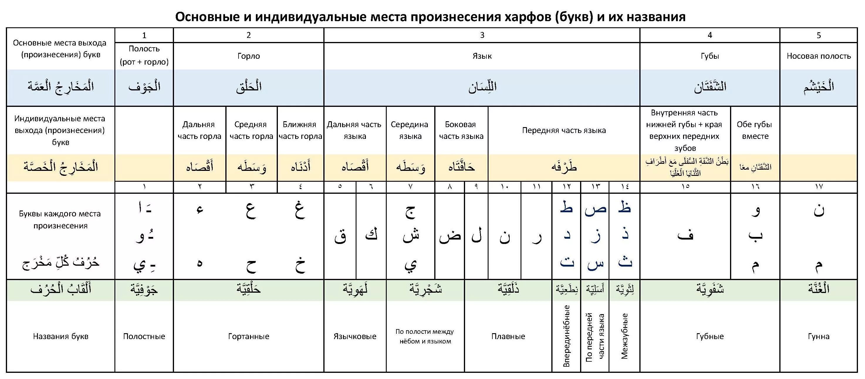 Махраджи букв арабского языка таблица. Места произношения арабских букв. Таблица алфавита арабского языка. Арабский язык места образования букв.