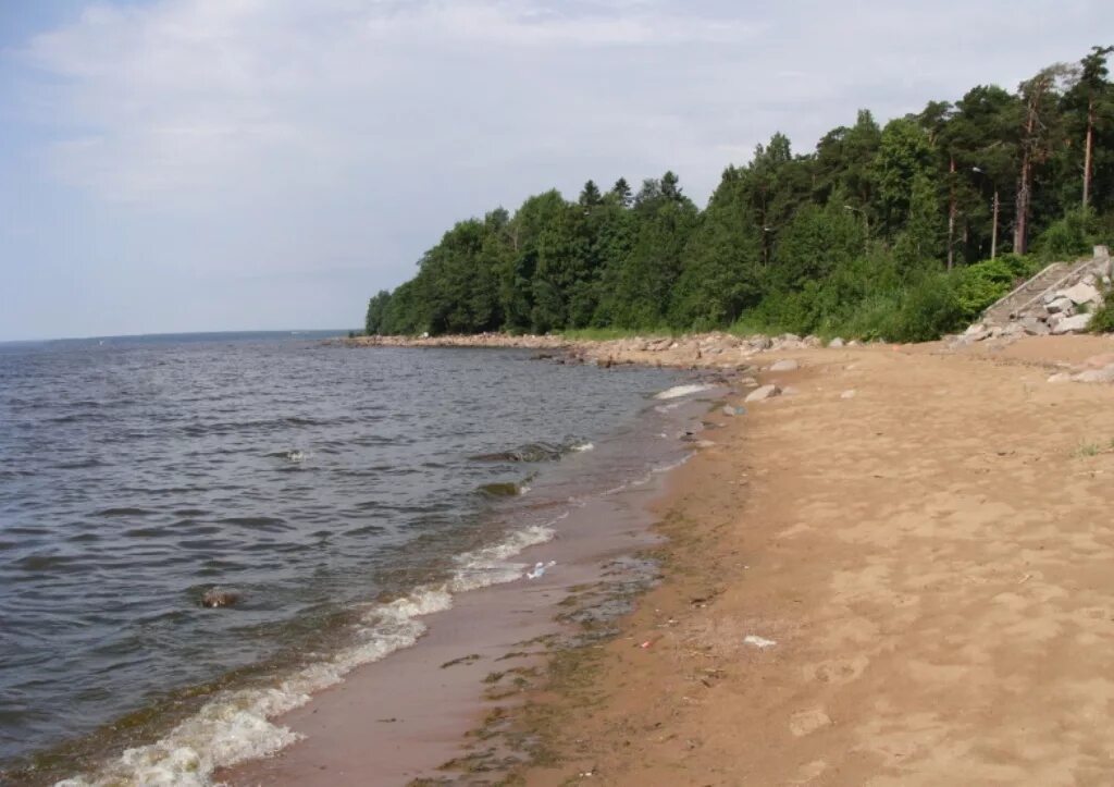 Приморск пляж. Золотые пески ушково. приморск пляж ленинградская область.