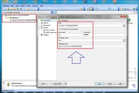 Database port