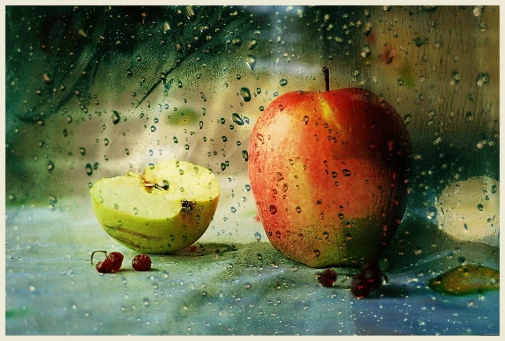 Яблоки не падают никогда отзывы. Яблоки живопись. Яблоки под дождем. Яблоки в каплях дождя. Картина яблоки под дождем.