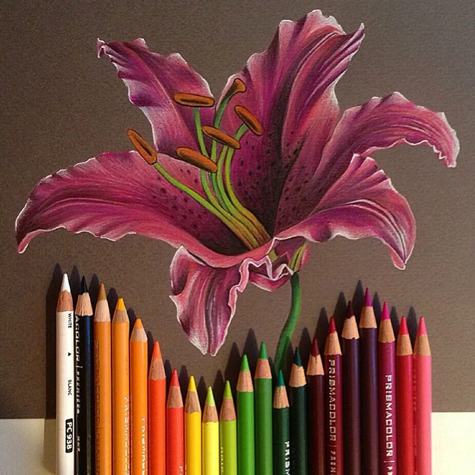 Карандаши цветные. Цветы цветными карандашами. Живопись цветными карандашами. Букет карандашом.