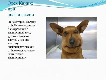 При каких аллергиях отек