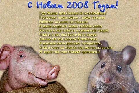 Когда был год свиньи последний раз