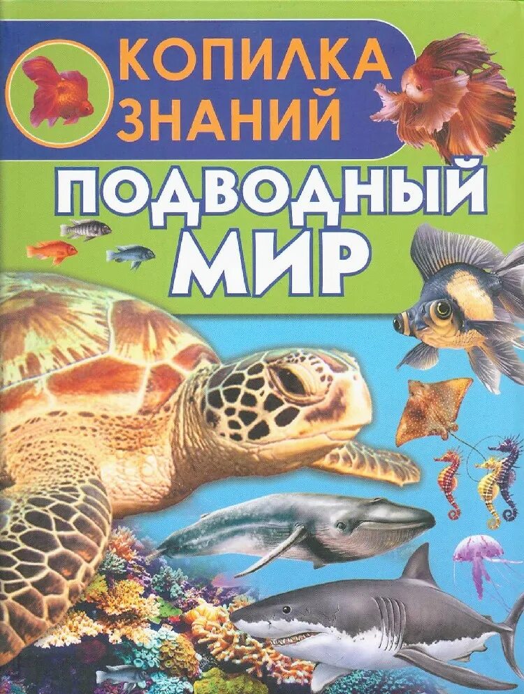 Подводный мир детские книги. Подводный мир энциклопедия для детей. Книга с наклейками в подводном мире. Книга про морских обитателей. Книга морские обитатели.
