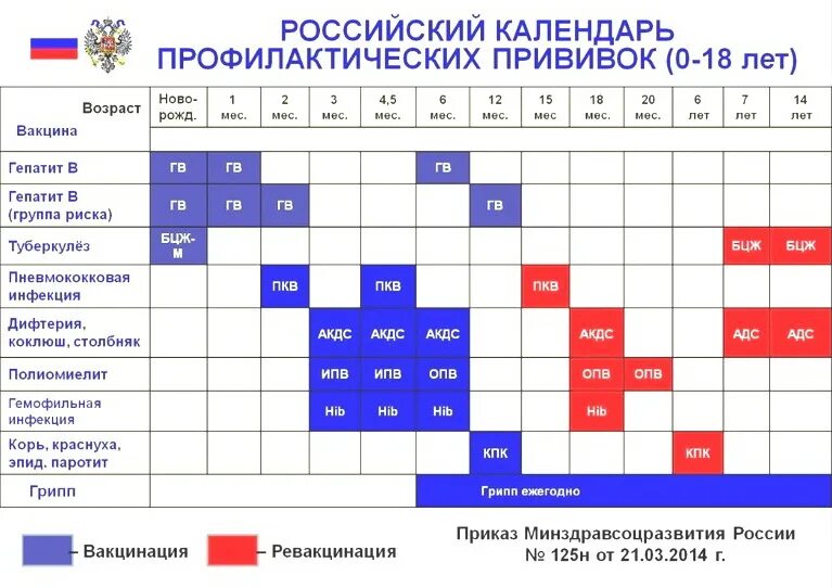 График прививок для детей до года в России таблица 2021. Календарь прививок для детей 2021 в России таблица. Календарь прививок 2021 для детей до года в России таблица. Национальный календарь прививок РФ 2021.