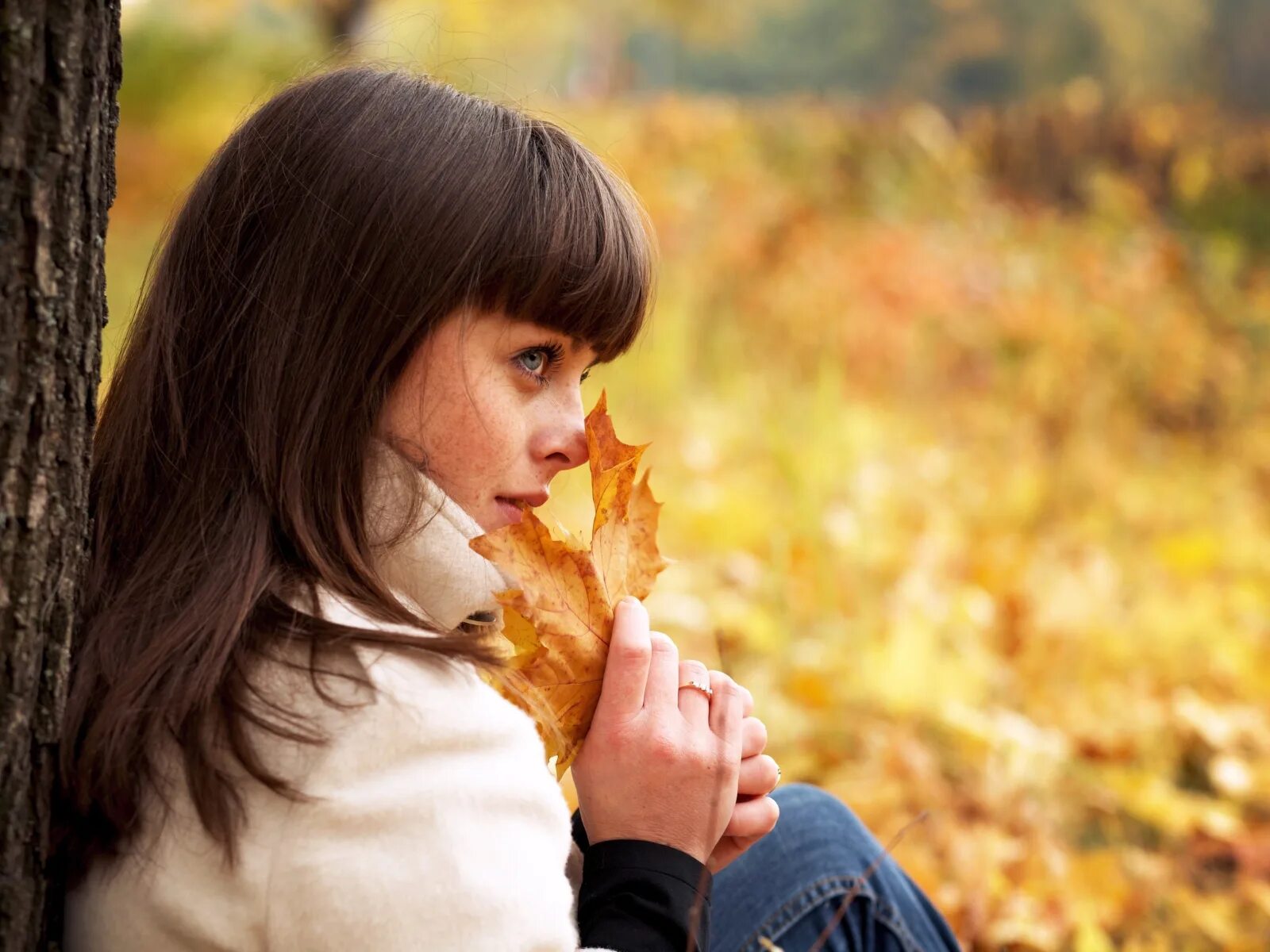 Осень грустит. Девушка осень. Девушка осенью. Осенняя фотосессия. Осенняя девушка.