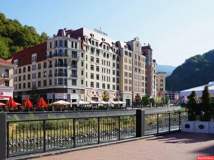 Розы адлер