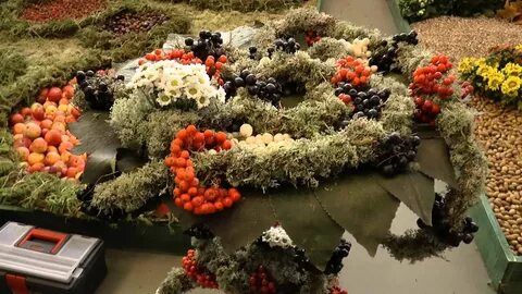 Колледж садово паркового хозяйства