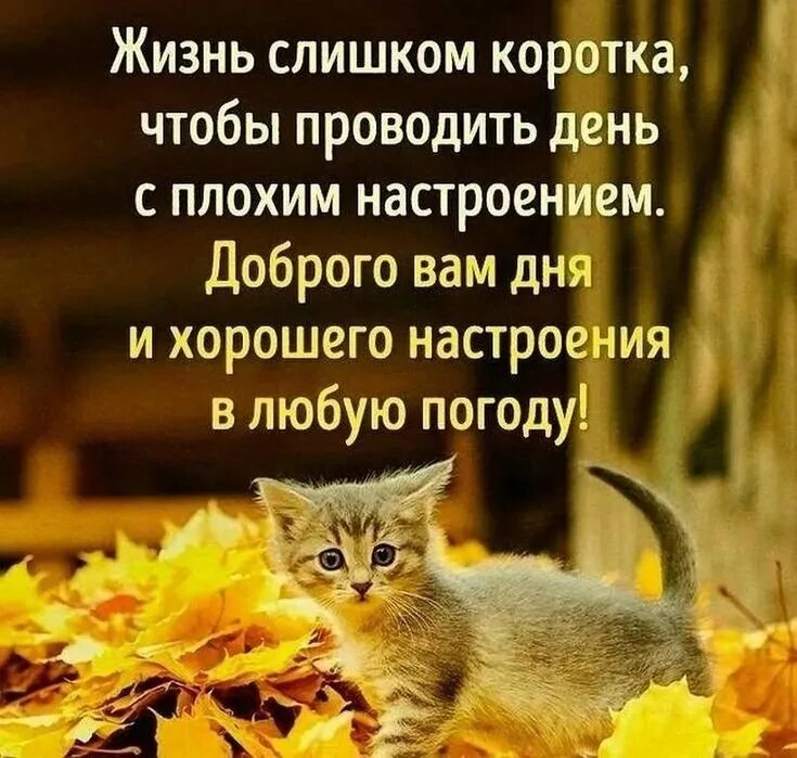 Улыбок в любую погоду